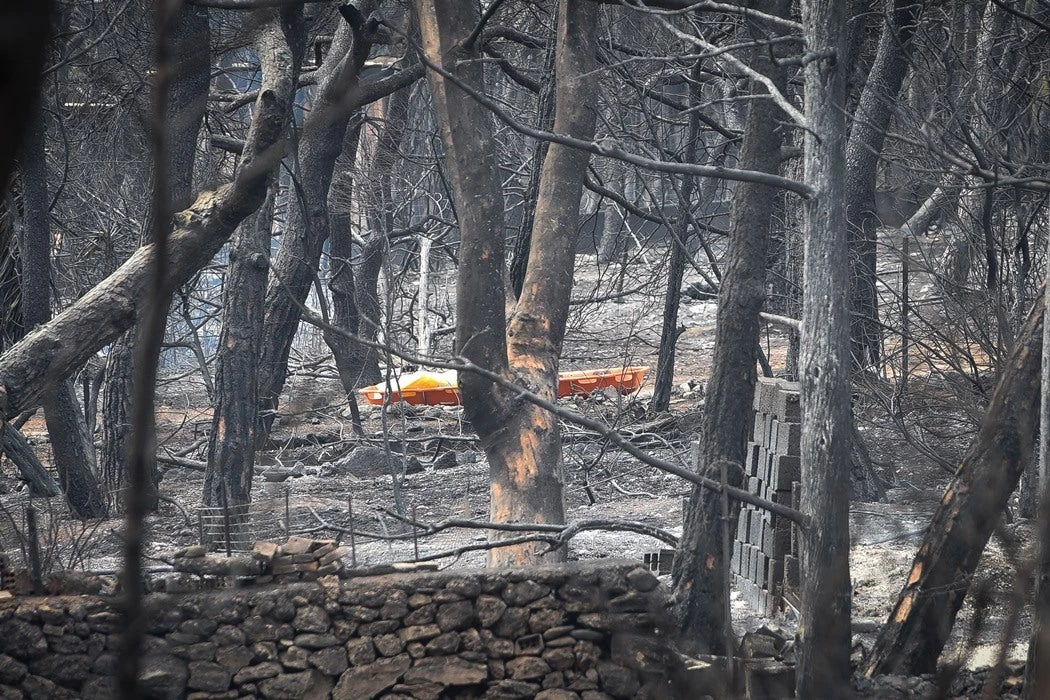 ΕΚΤΑΚΤΟ: 81 οι νεκροί από τη φωτιά στο Μάτι
